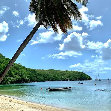 Chez Marie Andre Et Jeanne Apartment Grande Anse Екстериор снимка