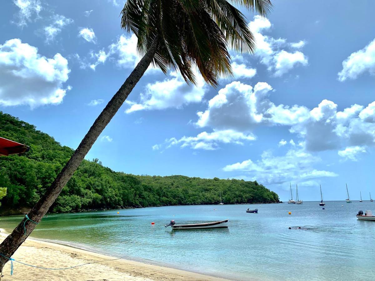 Chez Marie Andre Et Jeanne Apartment Grande Anse Екстериор снимка